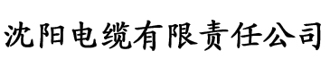 草莓APP污电缆厂logo